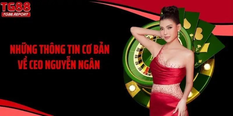 Những thông tin cơ bản về CEO Nguyễn Ngân